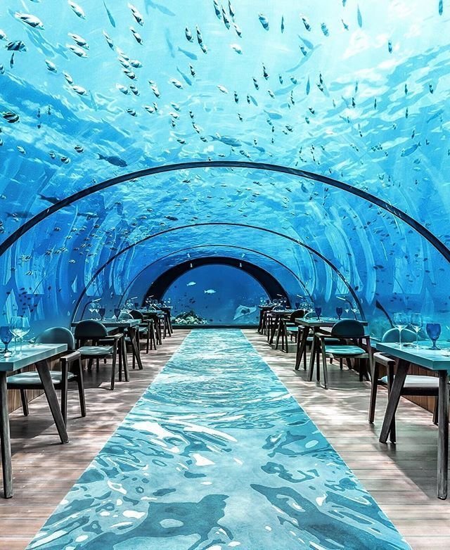 Dubai Aquarium & Underwater Zoo